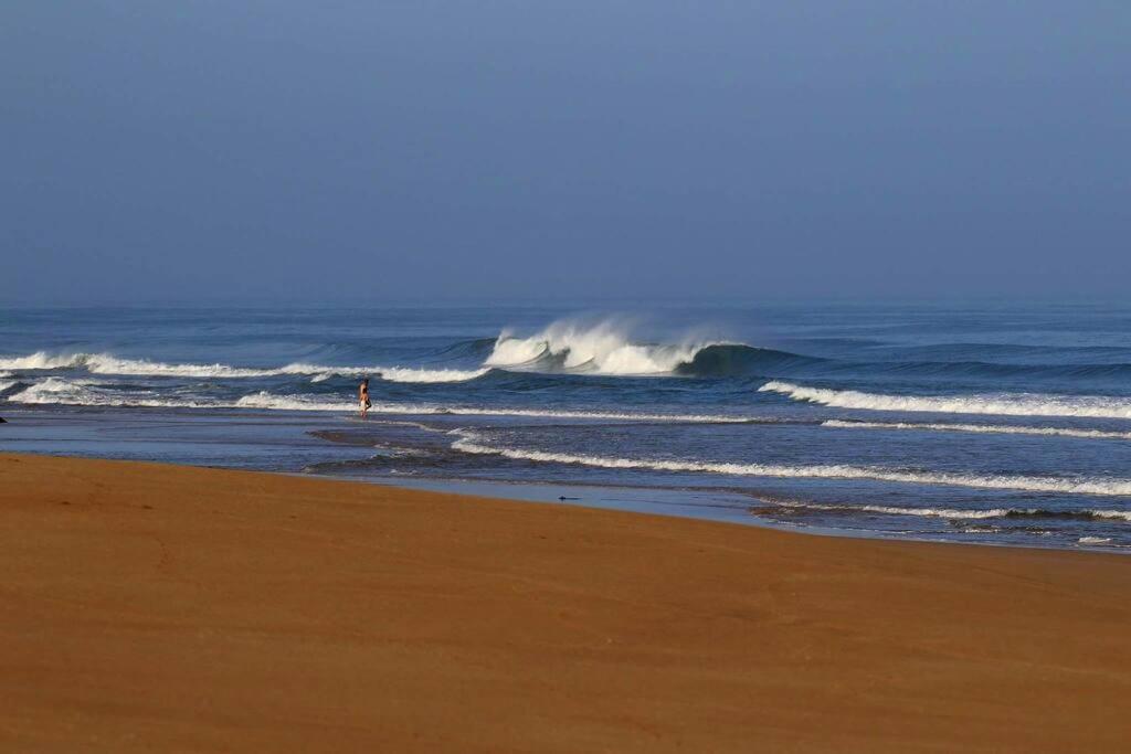 사피 Ait Mouli Surf House 아파트 외부 사진